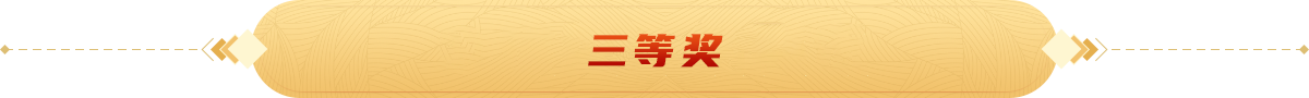三等奖2026