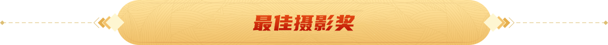 最佳摄影奖2026